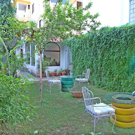 Hotel Tree Of Heaven Udaipur Kültér fotó